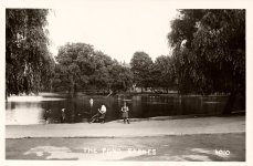 Barnes Pond,children paddling
